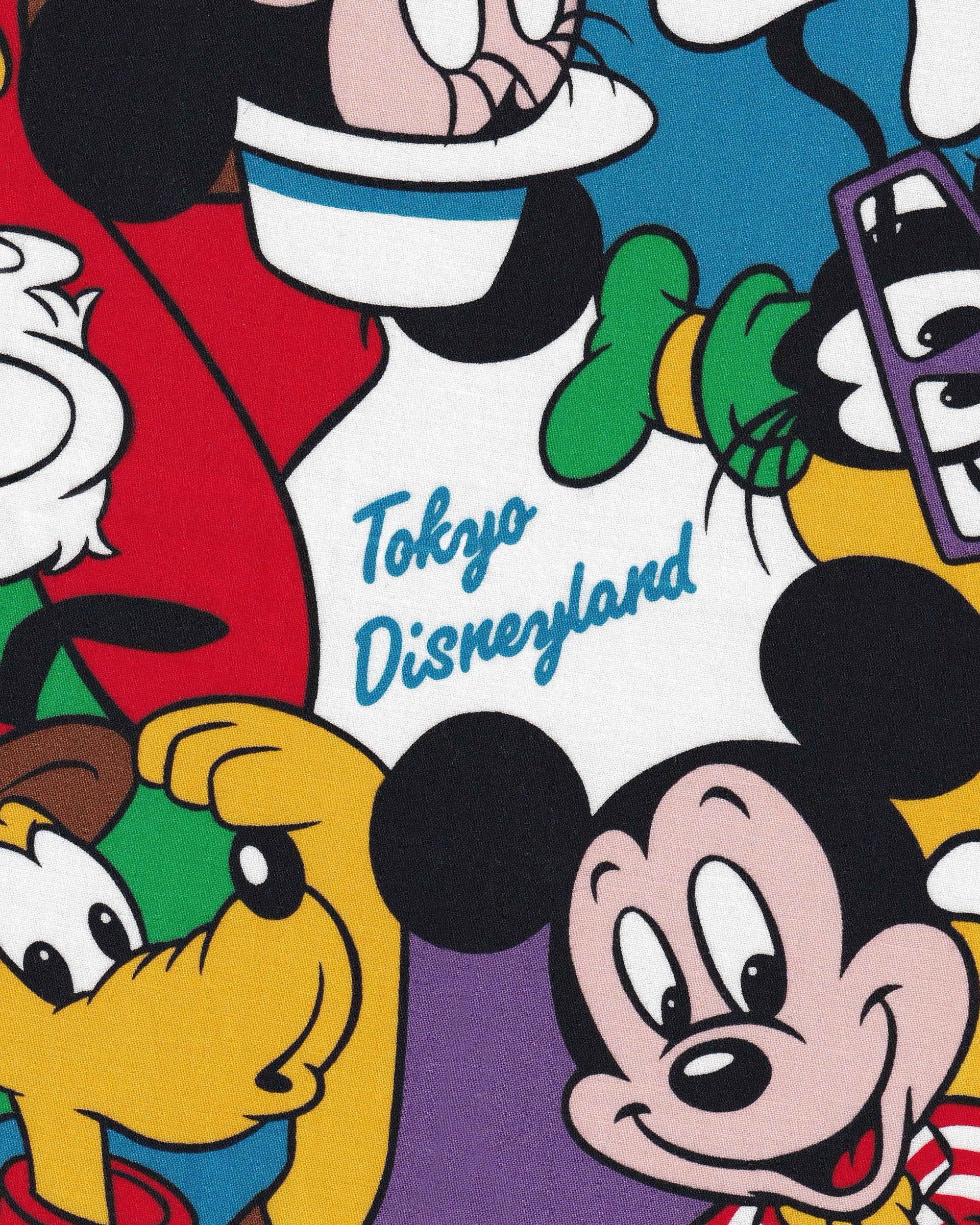 Tokyo Disneyland Foulard Towels Disney