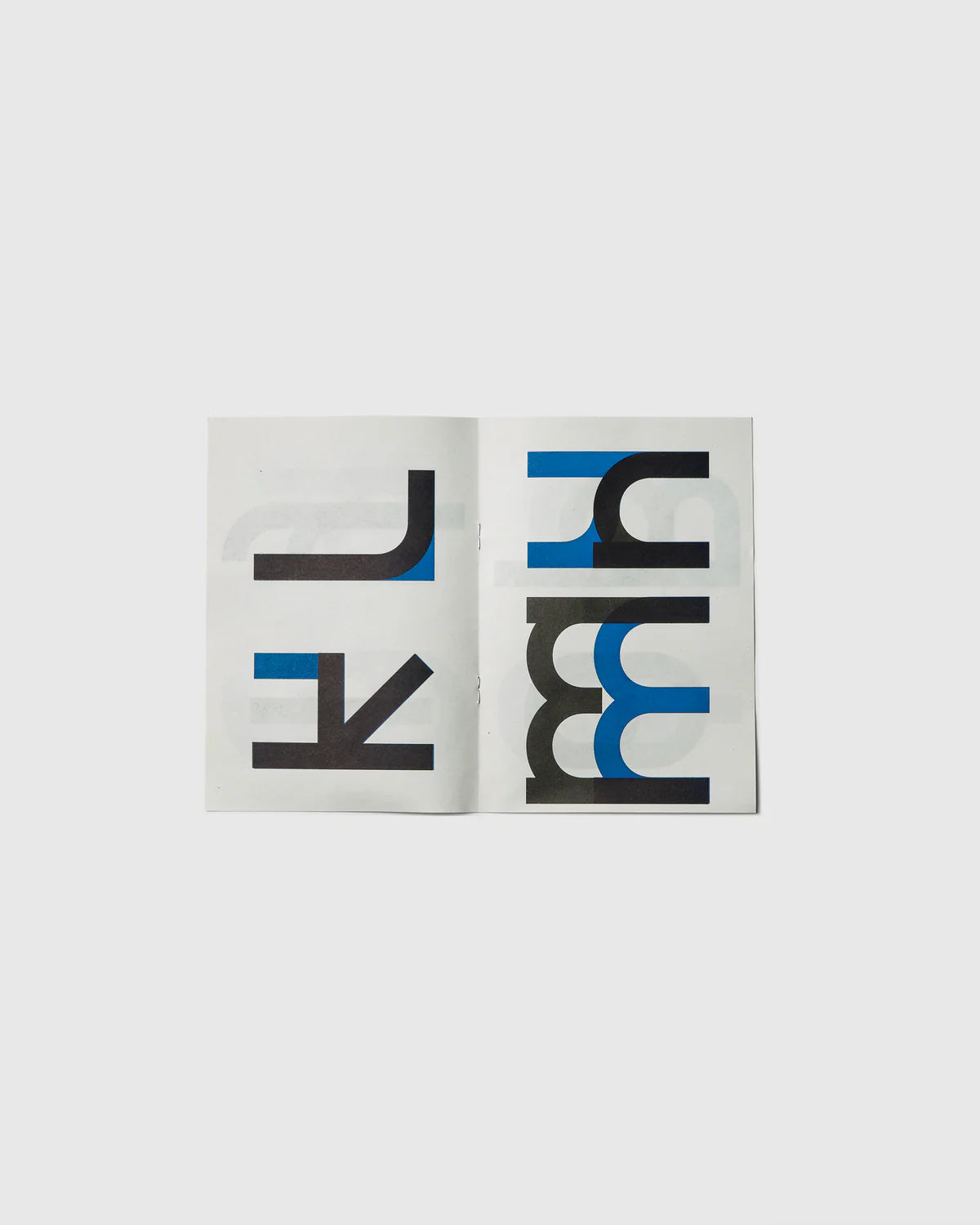 No.29: Rabbit Duck Turtle - Radim Pesko, Hato Press Art Books Hato Press