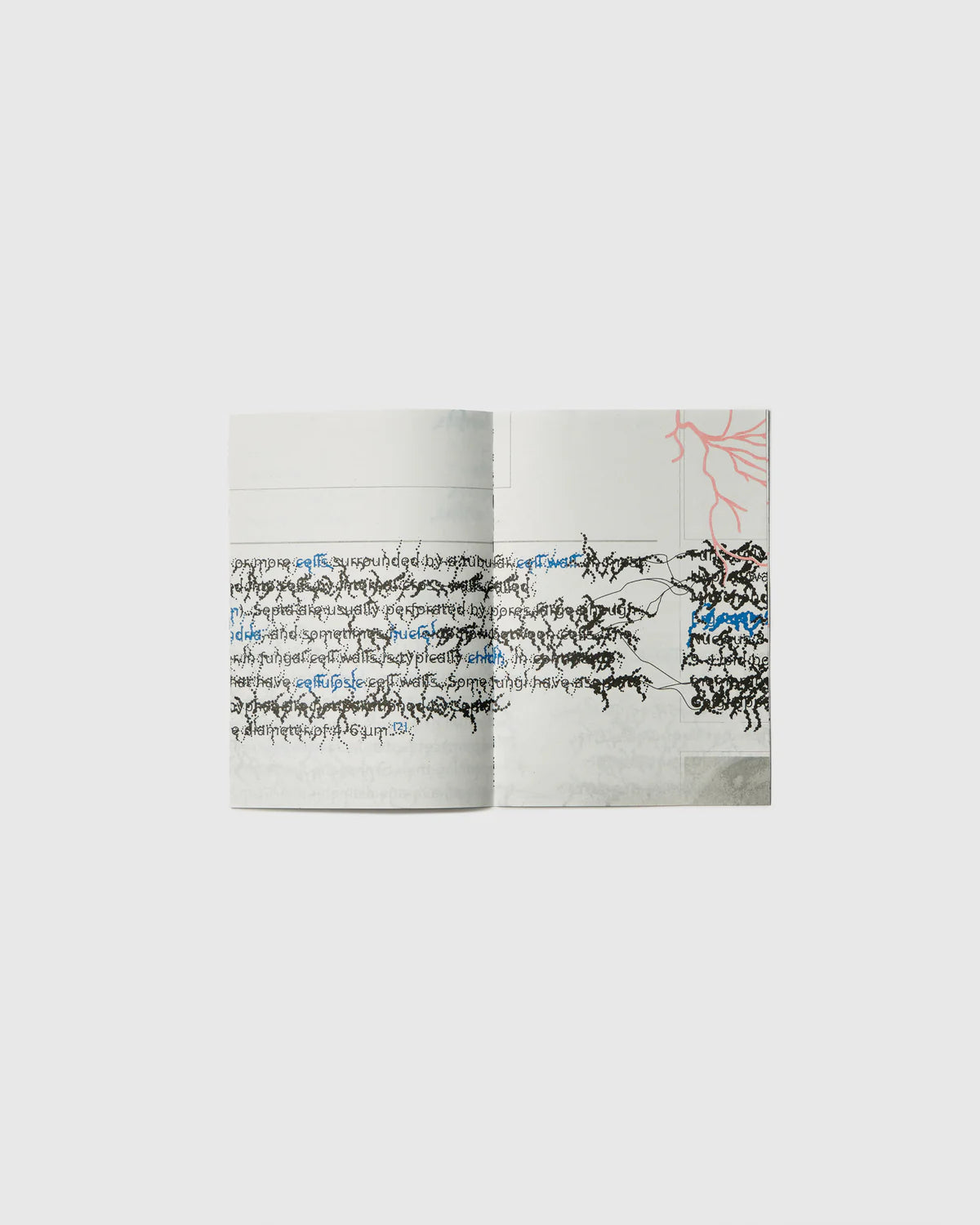 Fungal - Raphaël Bastide, Hato Press Art Books Hato Press