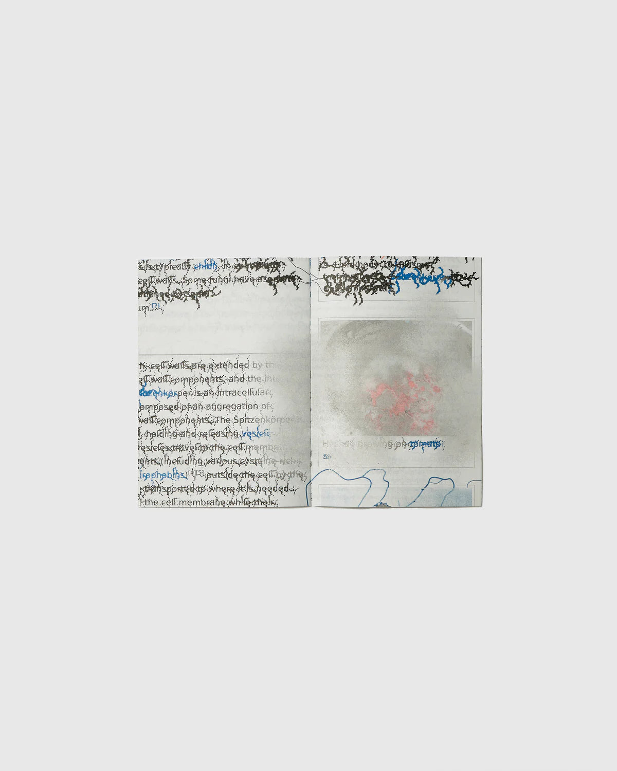 Fungal - Raphaël Bastide, Hato Press Art Books Hato Press