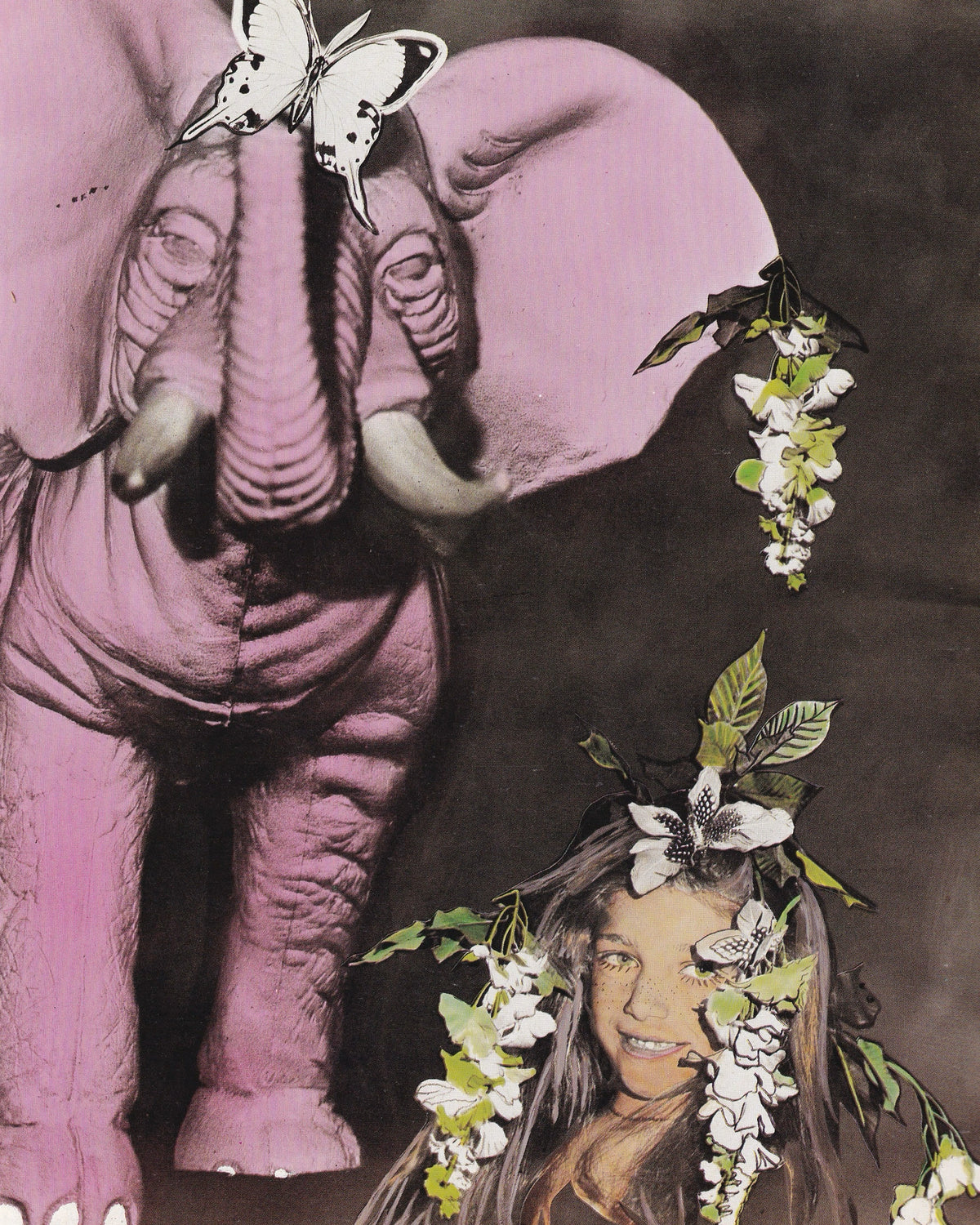Ali per Addepos. Alas para Addepos. Ailes pour Addepos - L. Engelmajer 1994