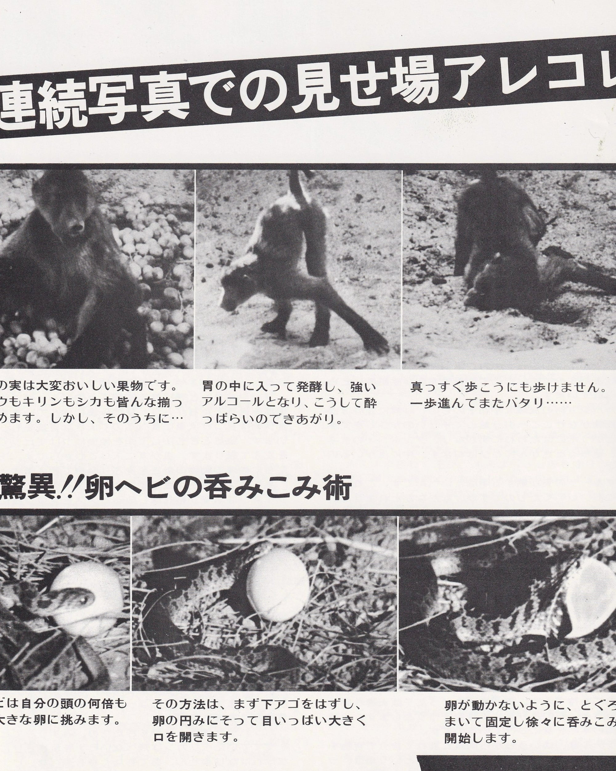 Beautiful People Cinema Booklet - Jpn Cinema Booklets Props!