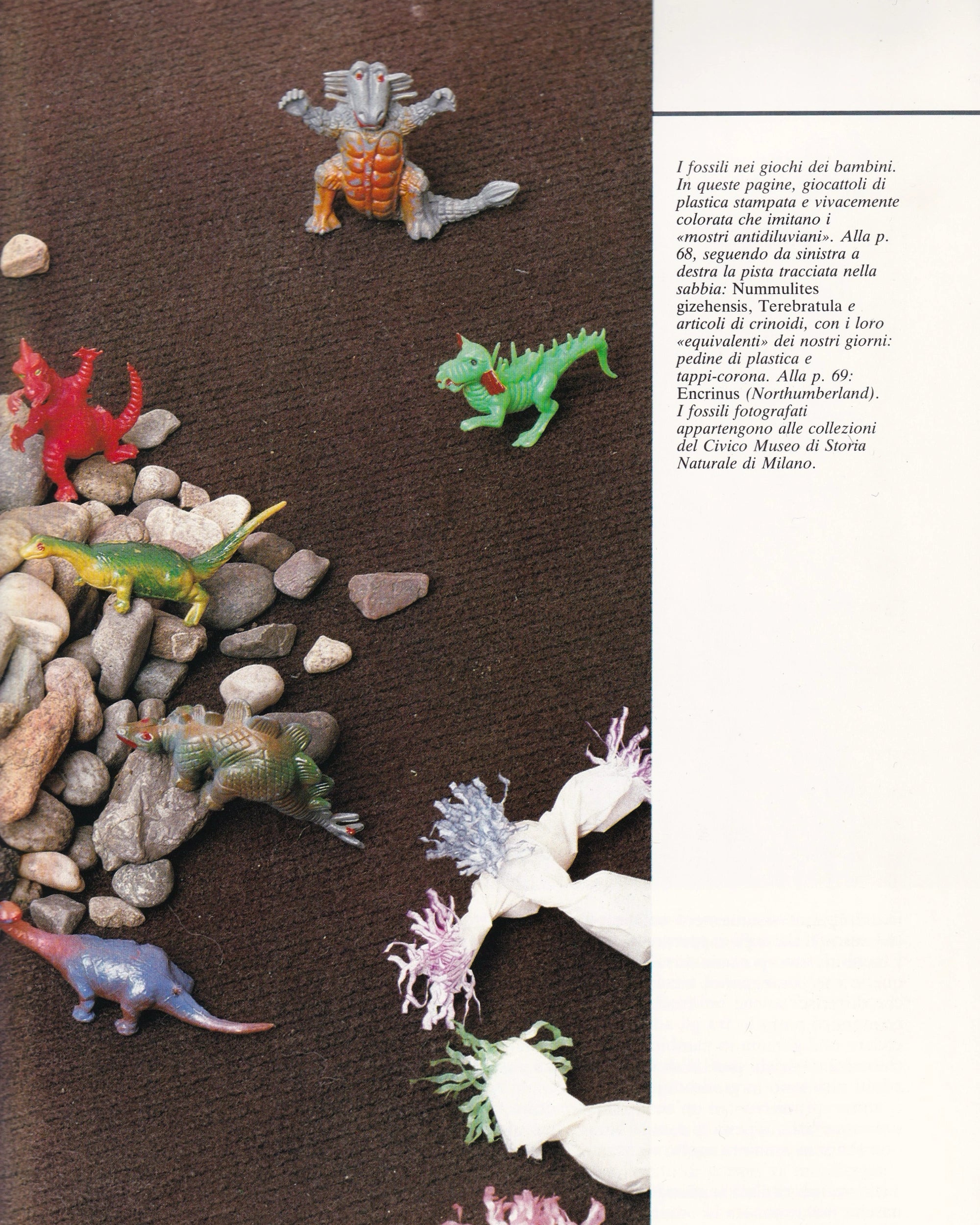 I Fossili nel Mondo dell'Uomo - E. Annoscia 1981