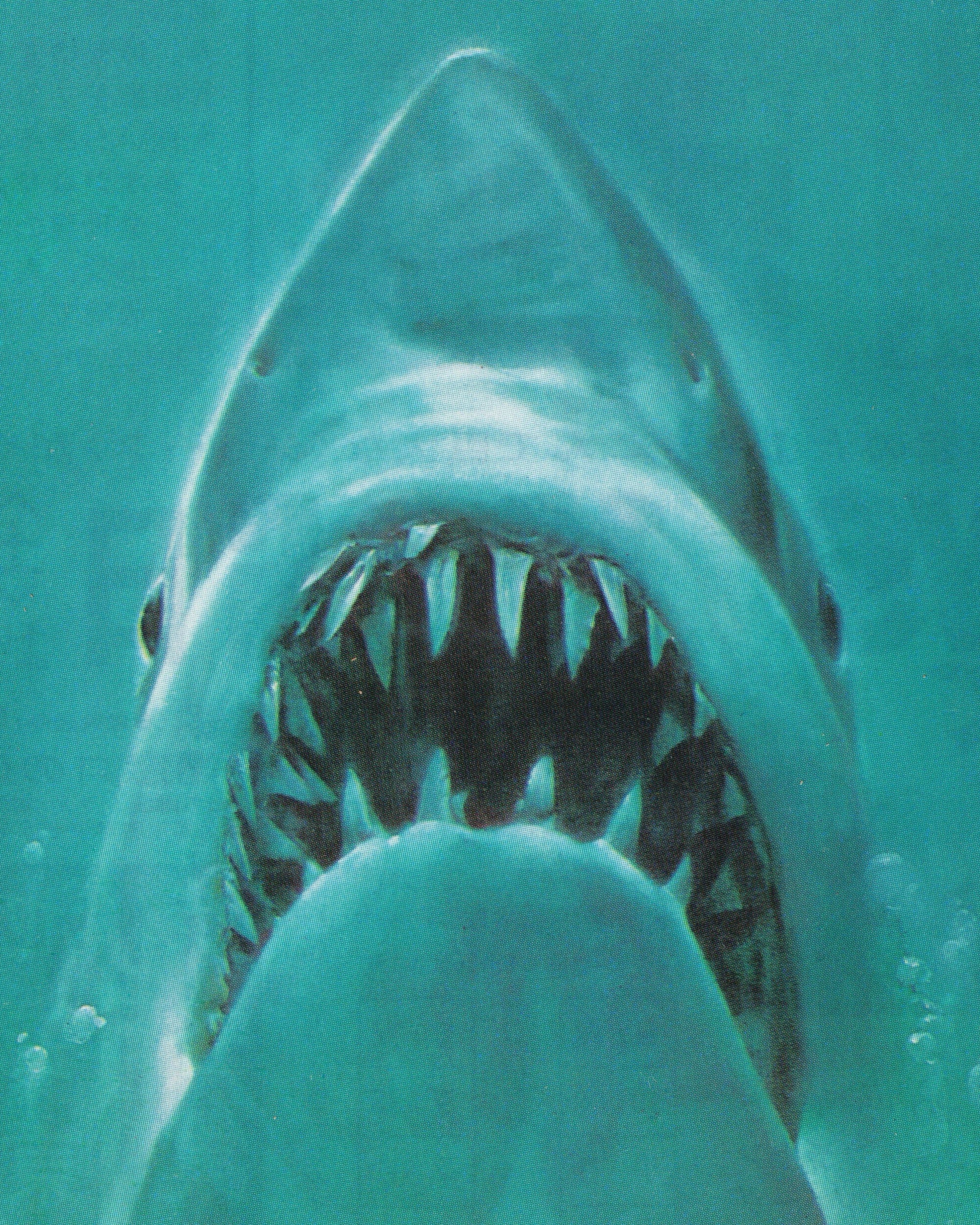 Jaws - Cinema Flyer - Jpn Cinema Posters Props!