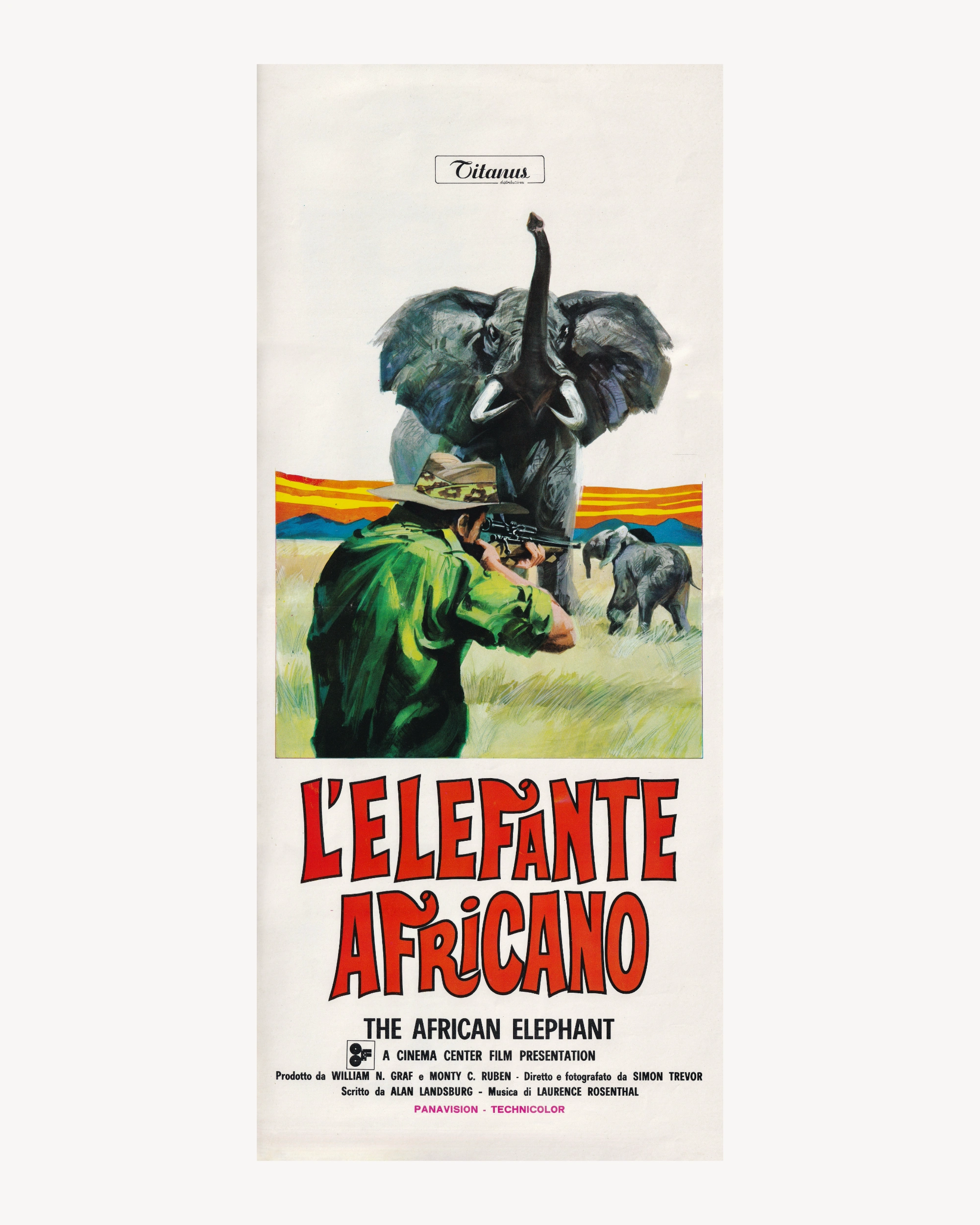L’Elefante Africano Cinema Posters Props!