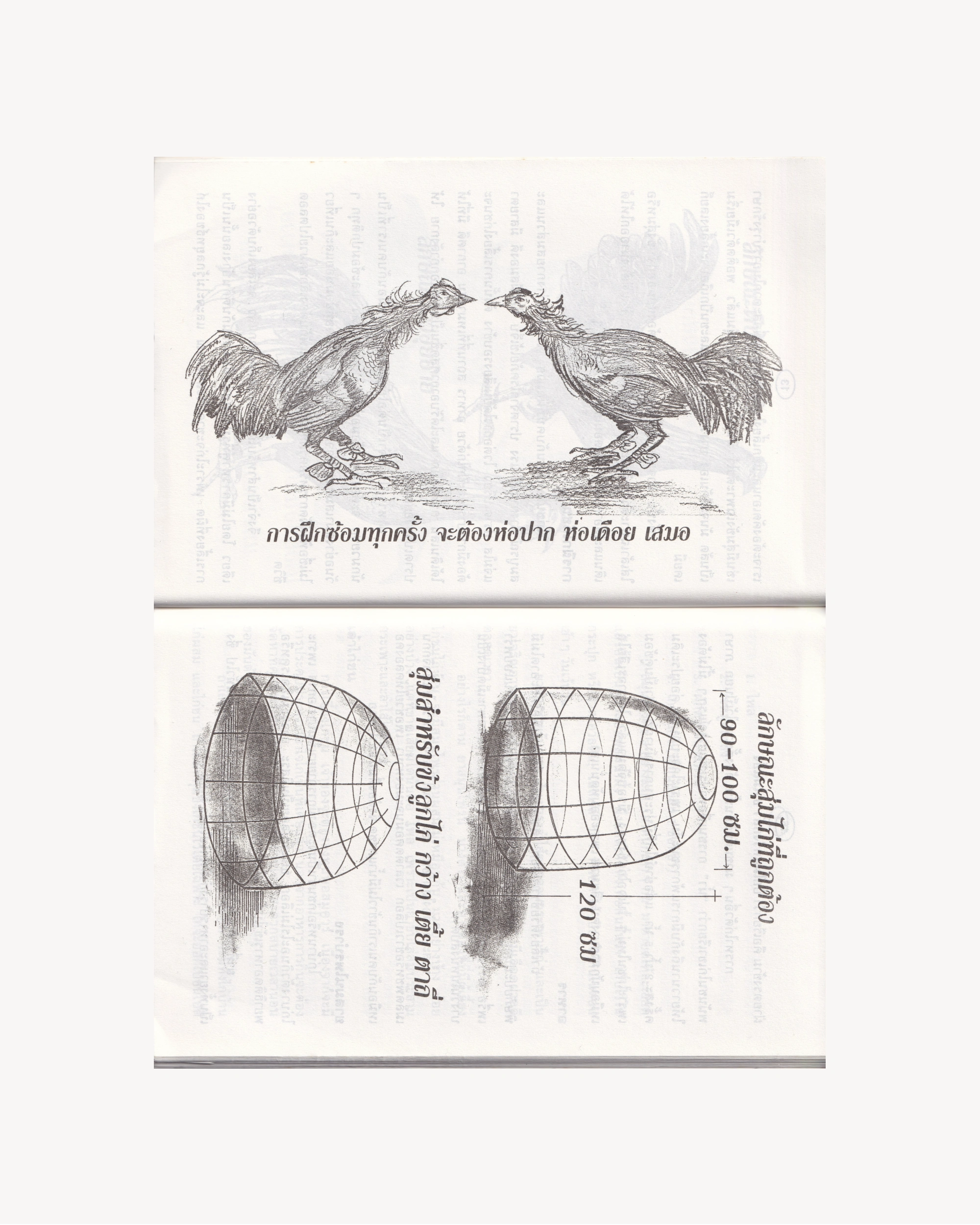 Manual for breeding and caring for Fighting Cocks - Thai Thai Books Props!