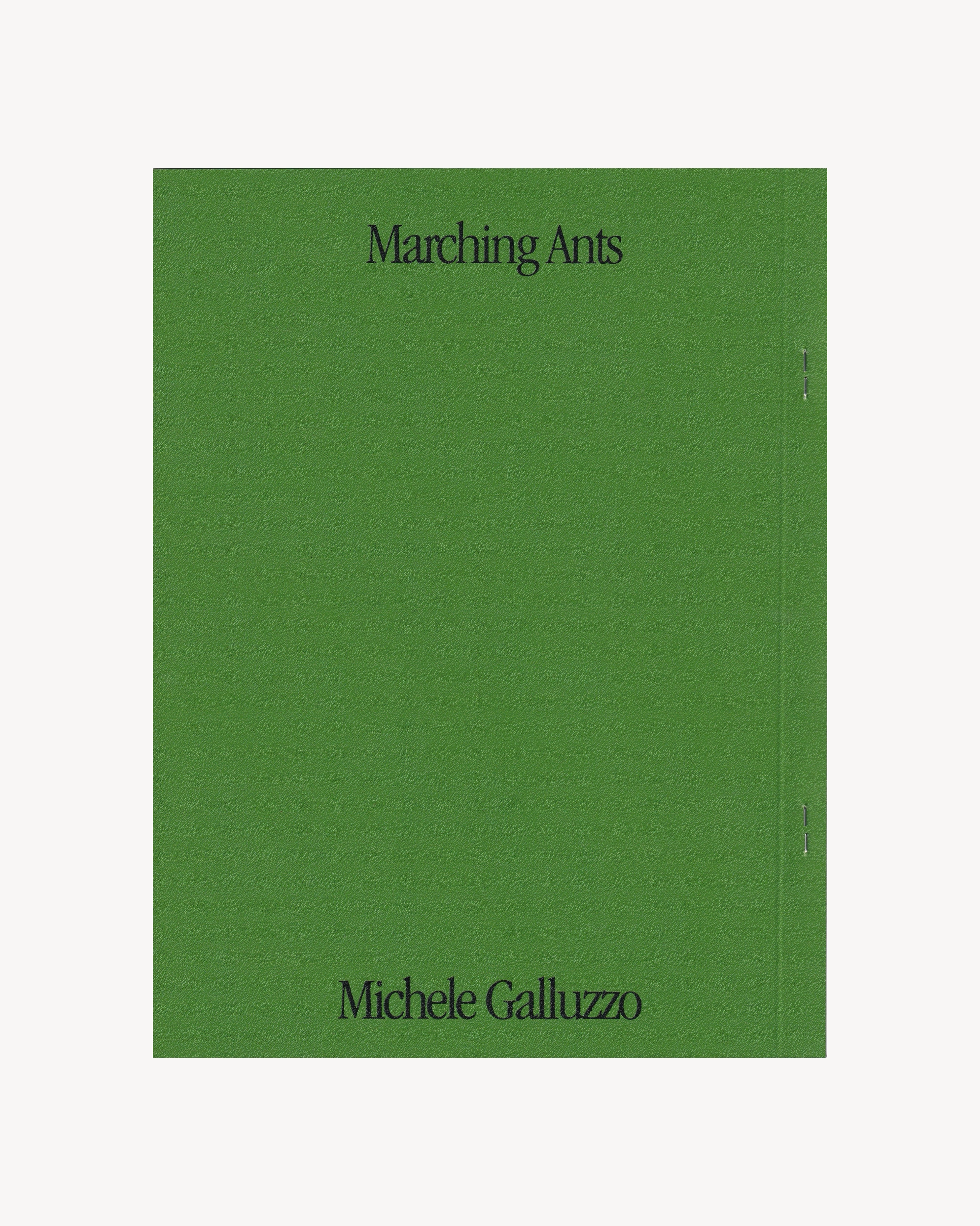Marching Ants - Michele Galluzzo Art Books Press Press Milano