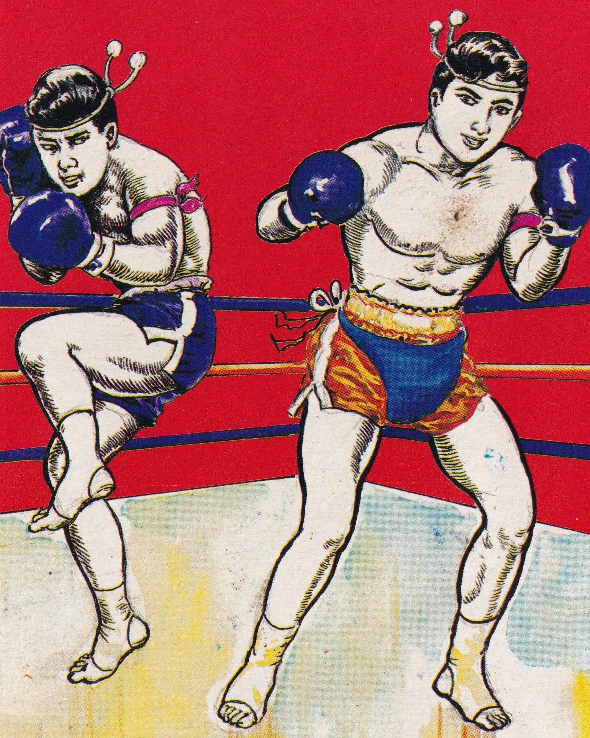 Muay Thai Self-Learning Manual - Thai Thai Books Props!