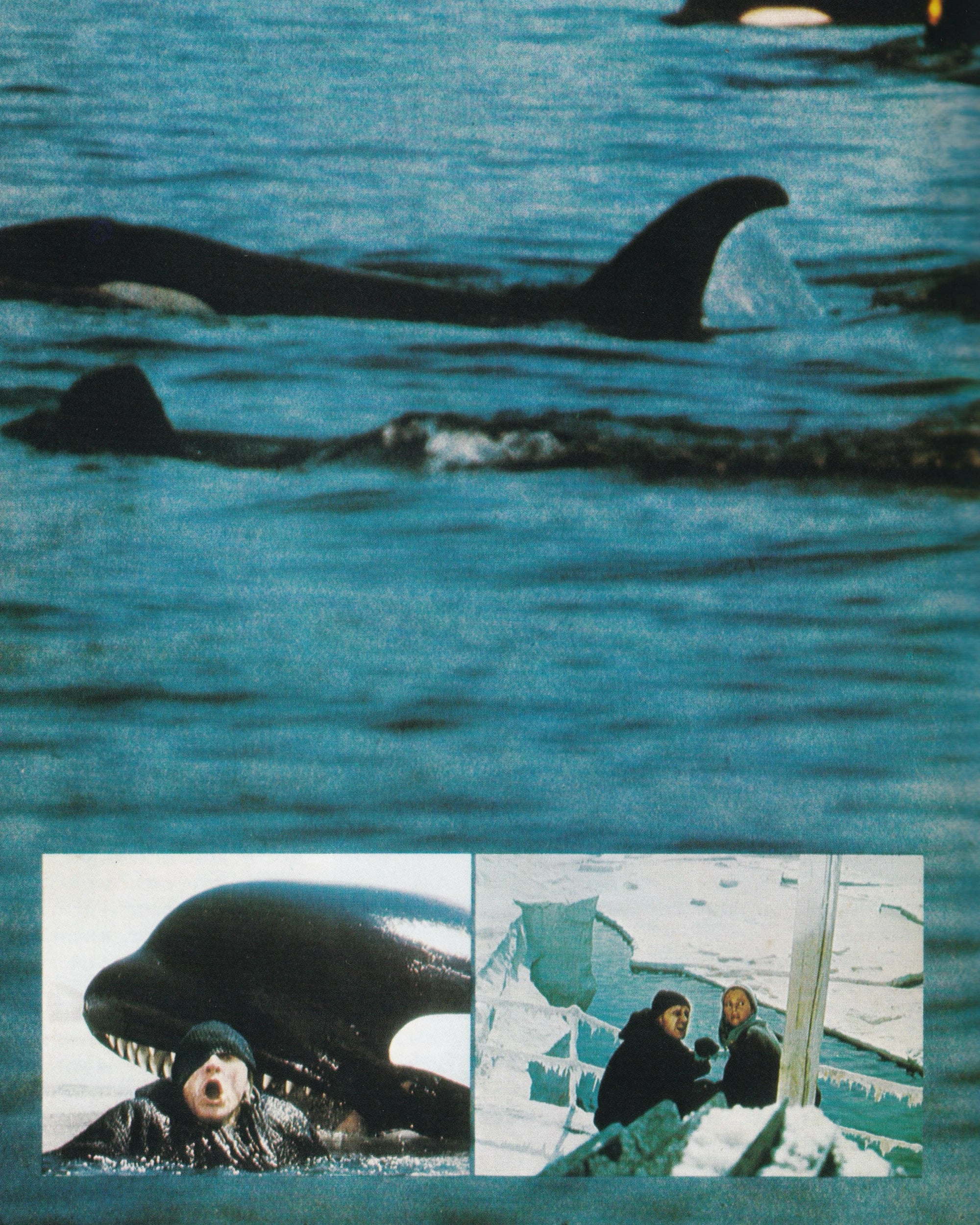 ORCA Cinema Booklet - Jpn Cinema Booklets Props!
