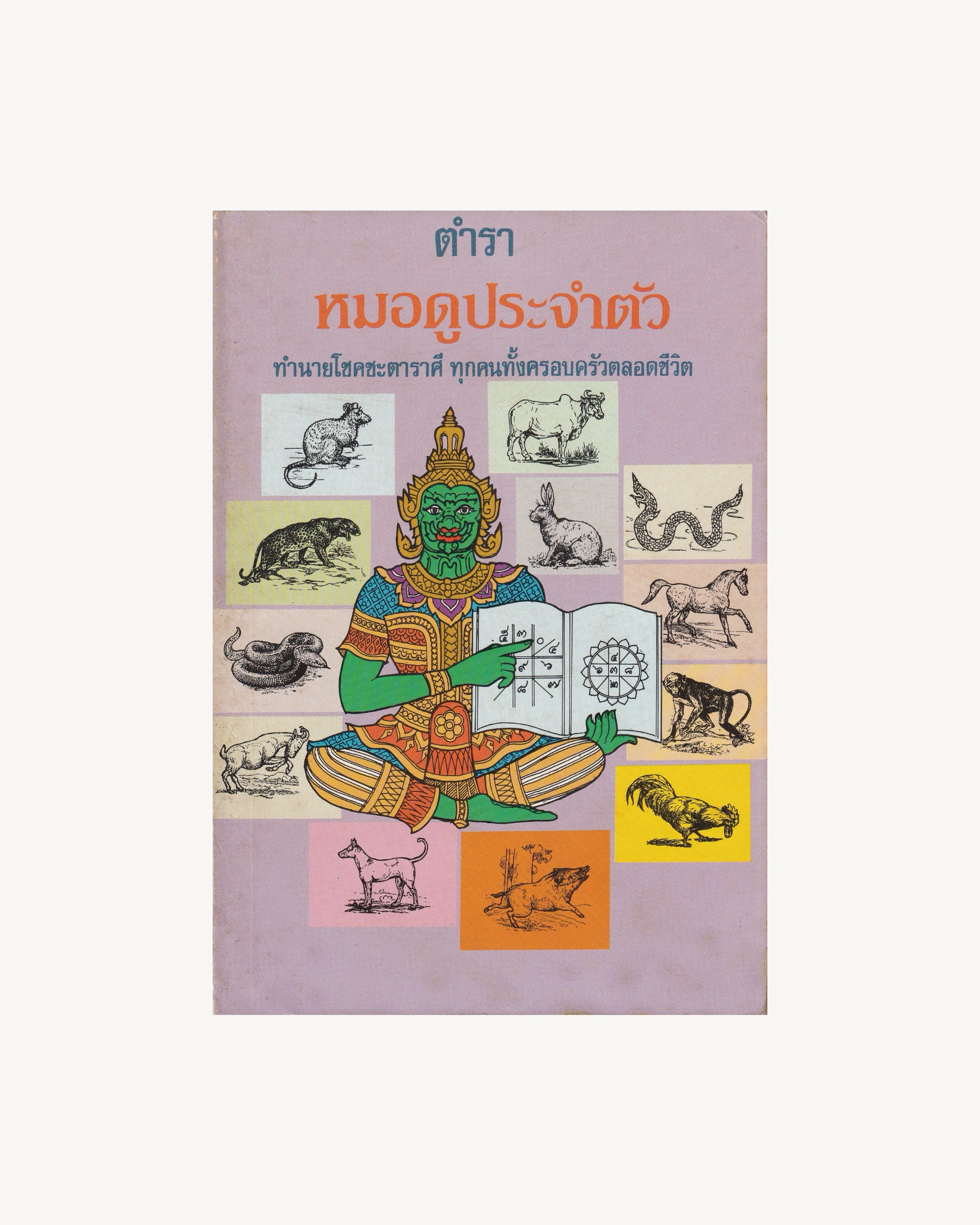 Personal Fortune Teller Manual - Thai Thai Books Props!