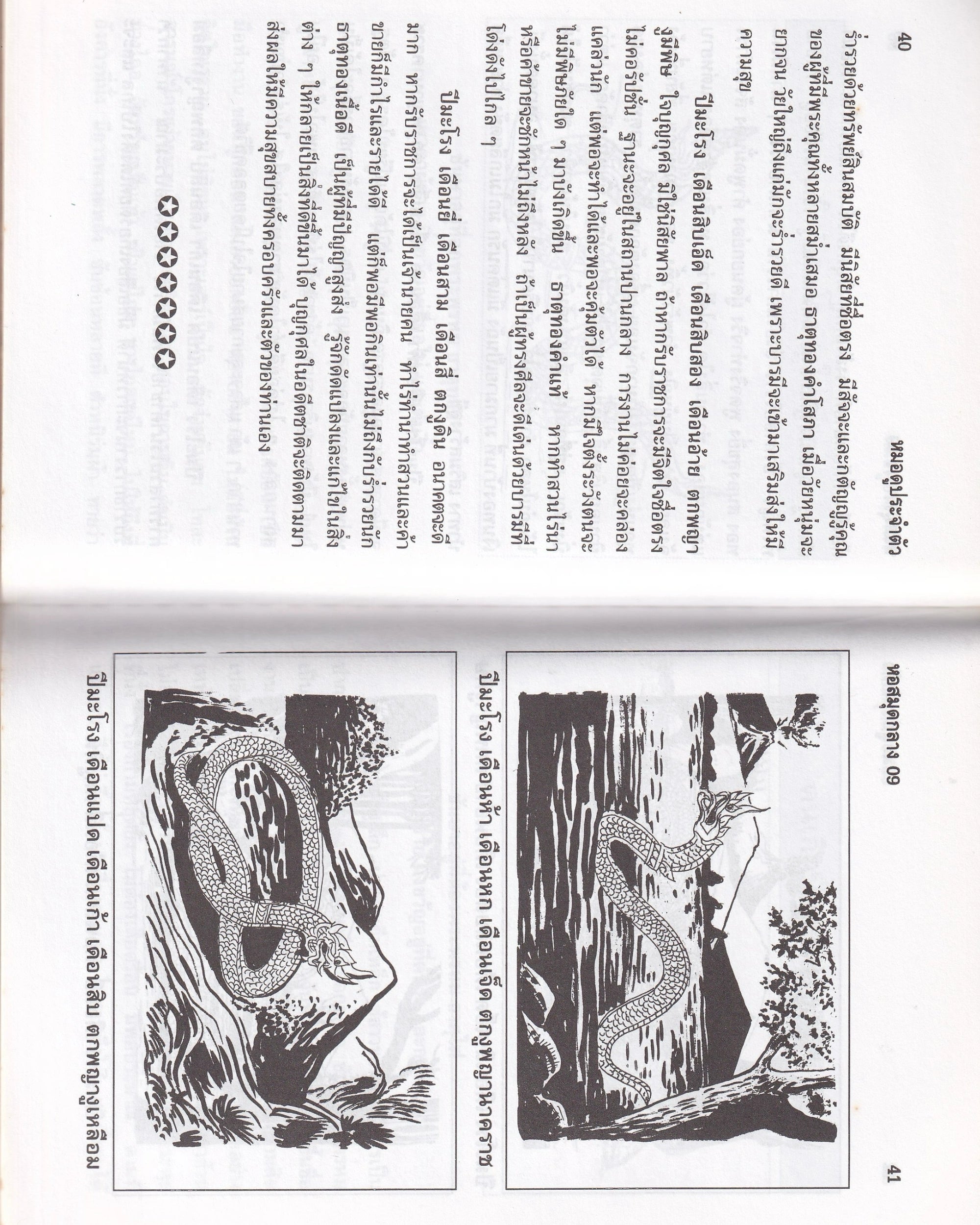 Personal Fortune Teller Manual - Thai Thai Books Props!