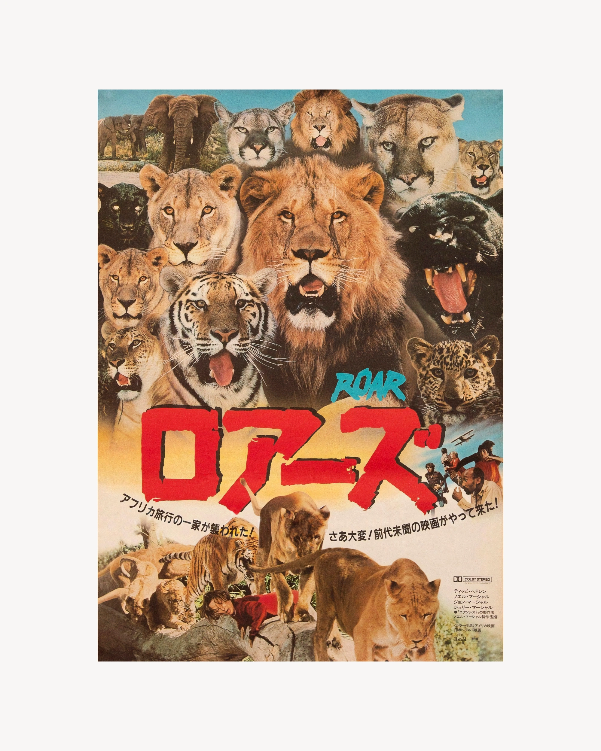 Roar - Cinema Poster Jpn Cinema Posters Props!
