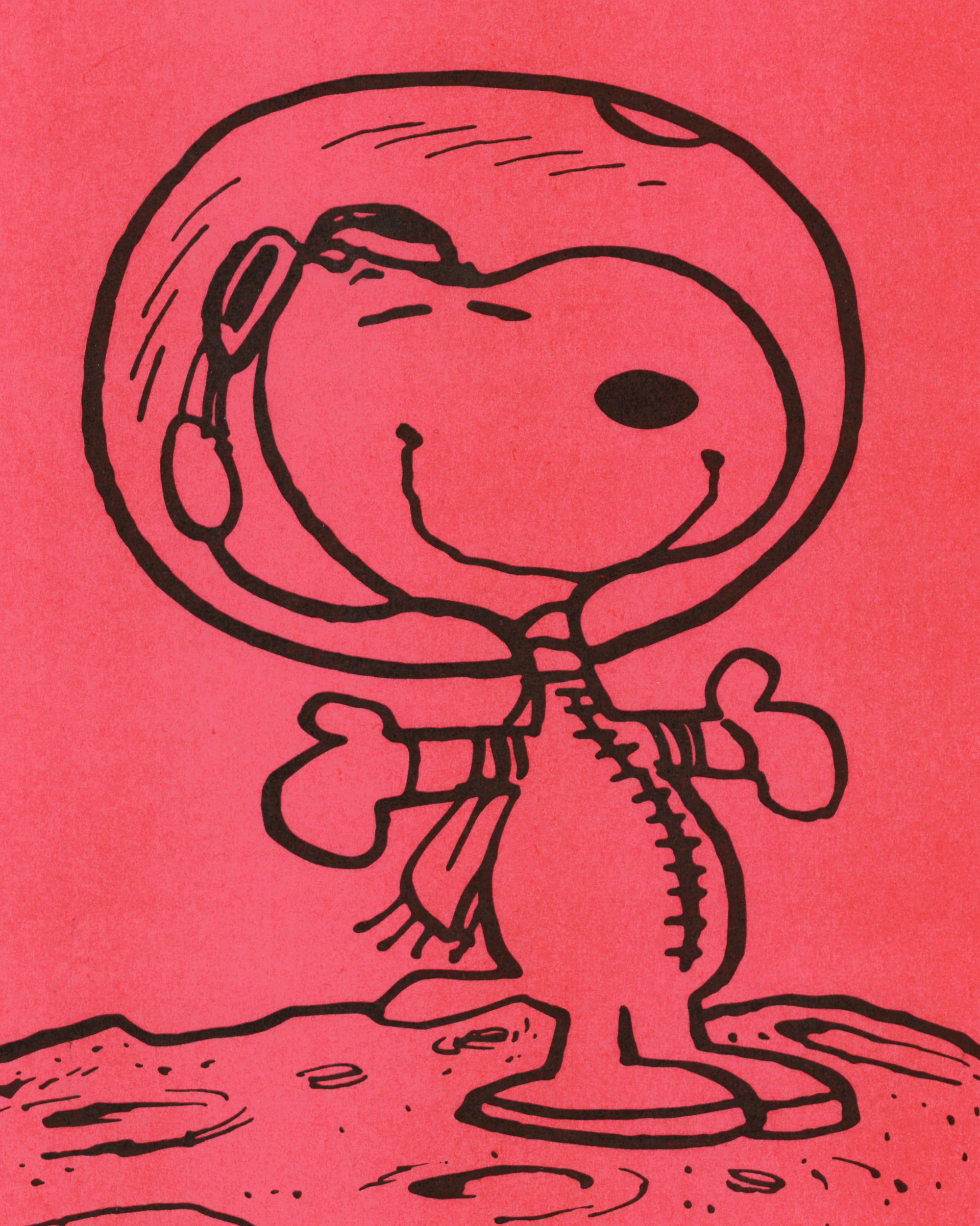 S.E.L.A. - “Snoopy - American Cheese” Risograph Risograph Props!