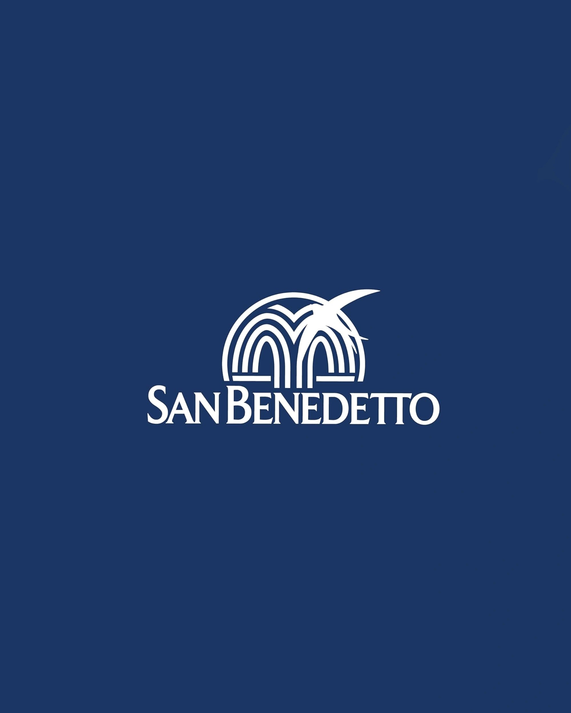 San Benedetto Natural - 330ml Drinks San Benedetto