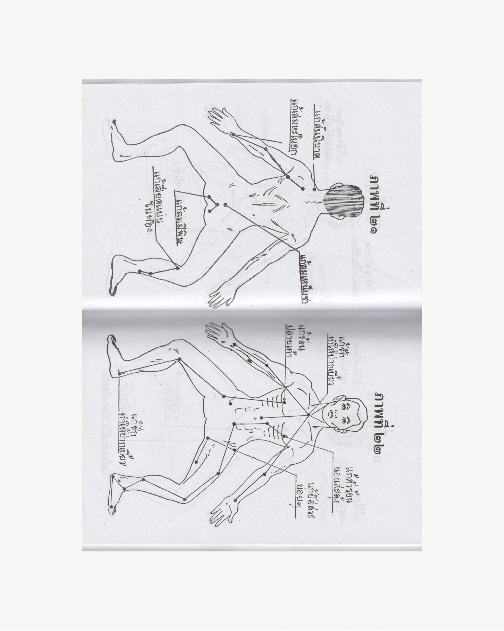 Tamra Mo Nuat (Manual of Massage and Traditional Medicine) - Thai - Cover 2 Thai Books Props!