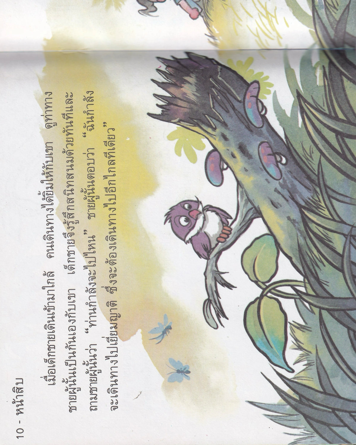 Thai Cartoons for Education “Bird”