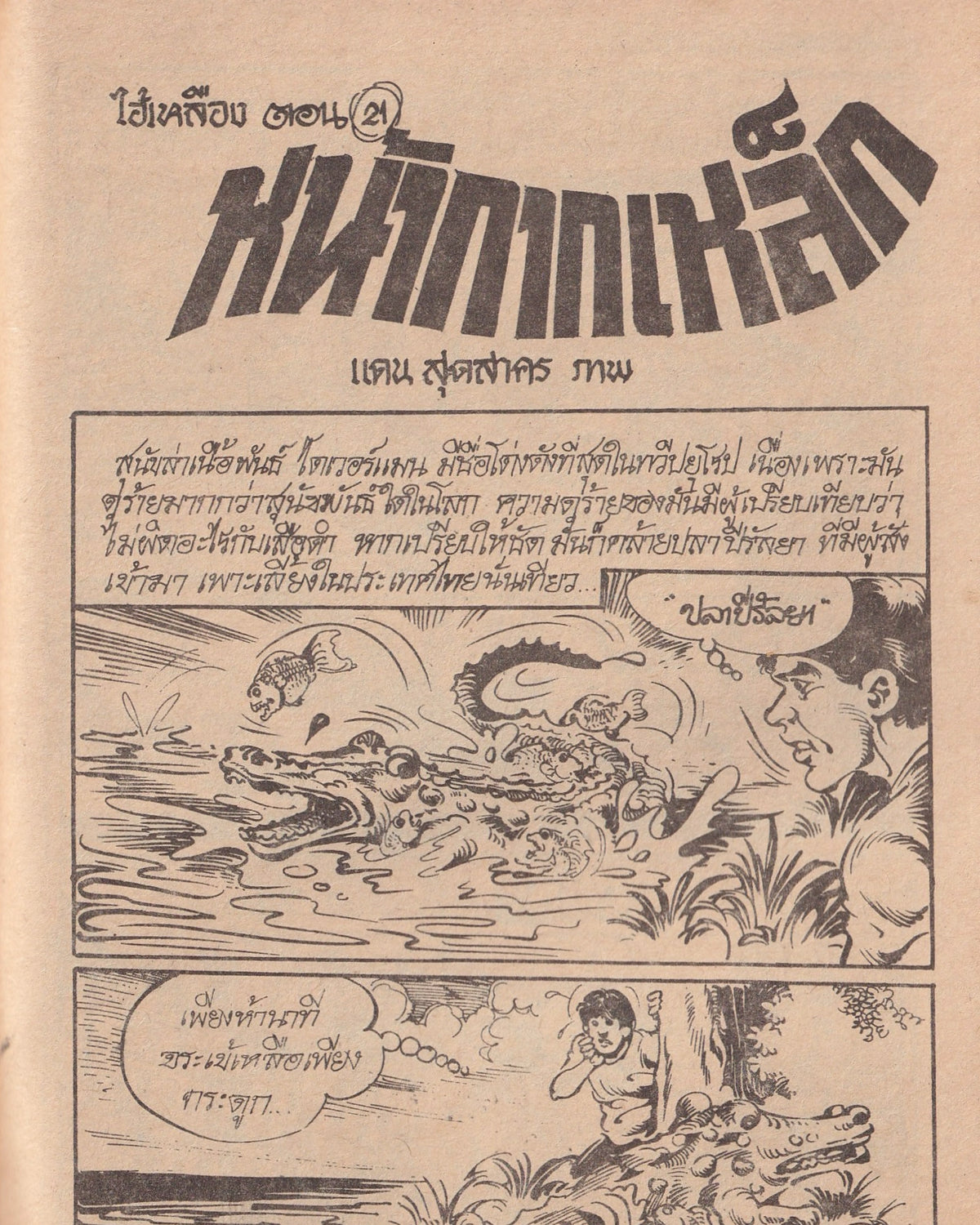 The spell of Illusion - Thai
