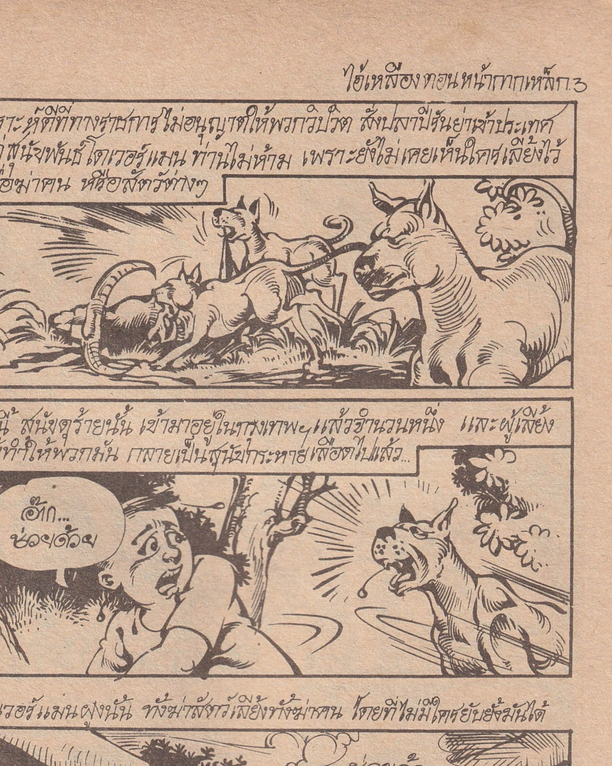 The spell of Illusion - Thai