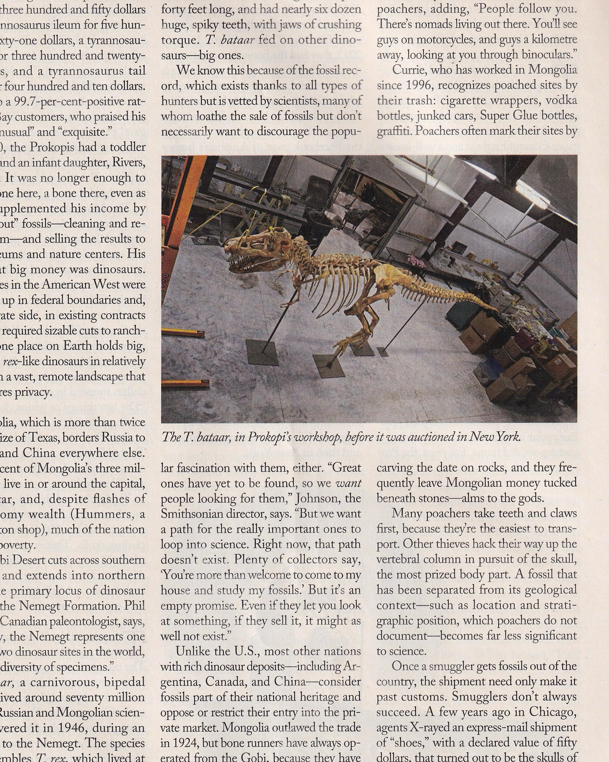 The New Yorker "Newsstand" 28 Jan. 2013 Mags & Zines The New Yorker