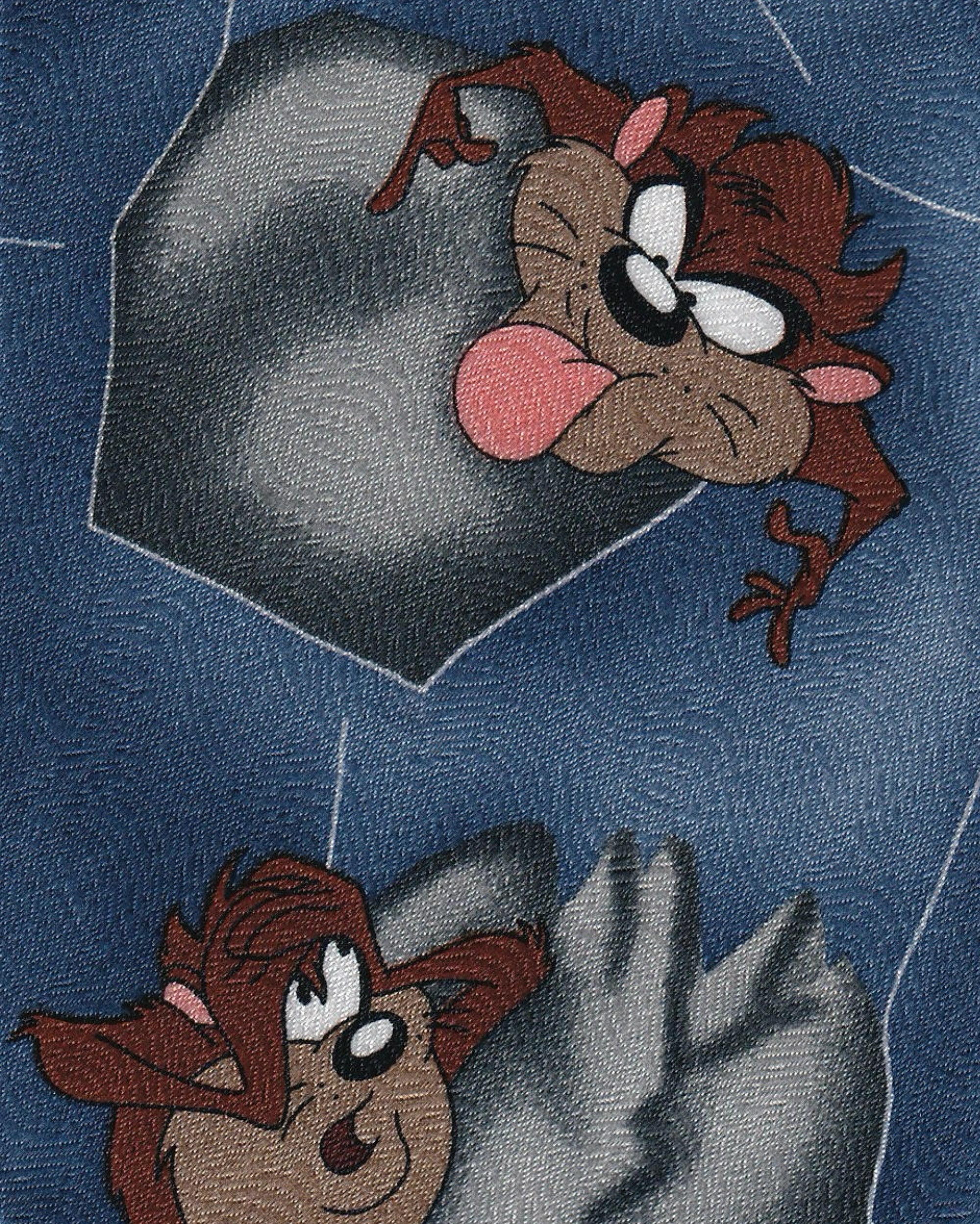 Tie “Tasmania” Looney Tunes Ties Looney Tunes