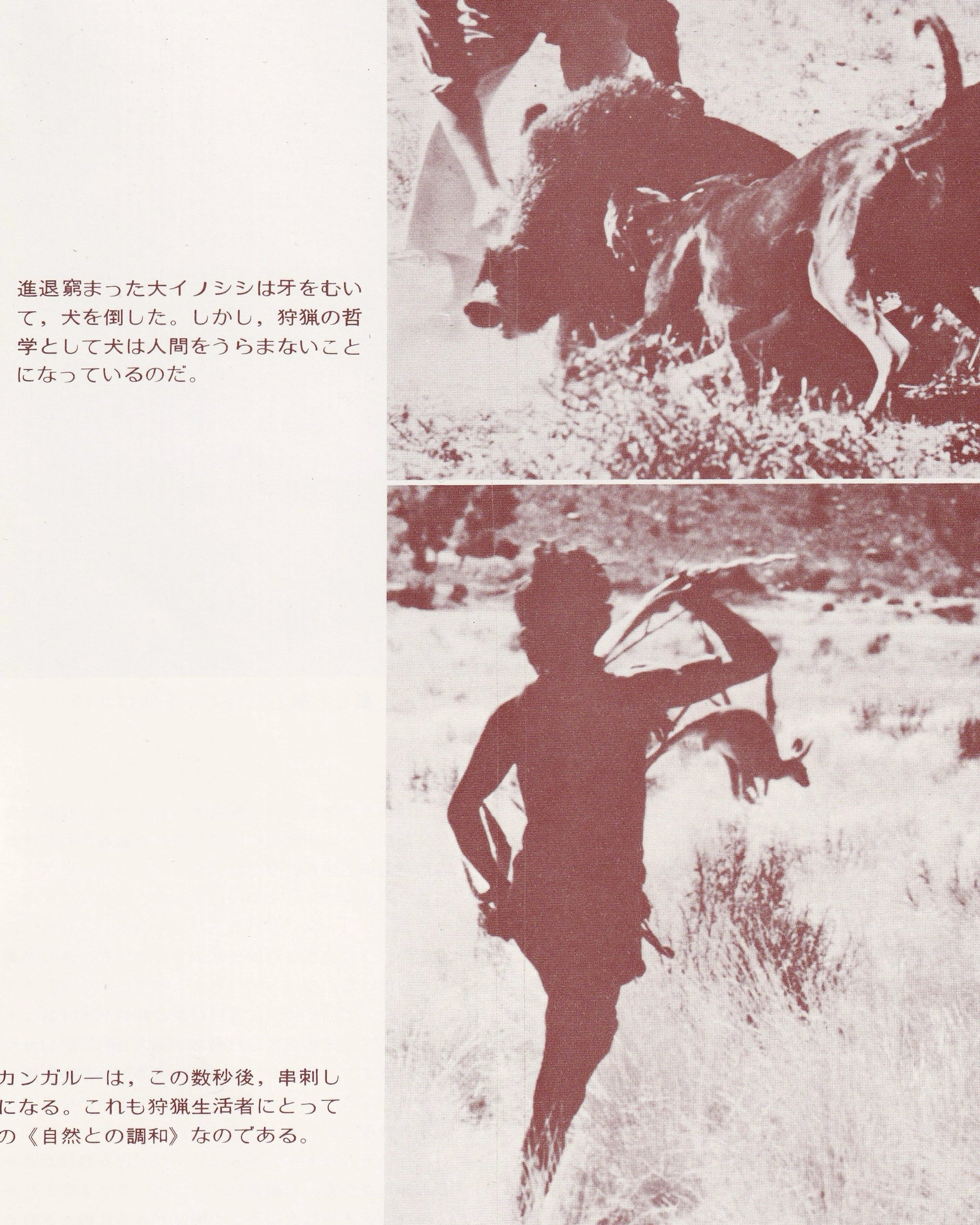 Ultime grida dalla Savana Cinema Booklet - Jpn Cinema Booklets Props!
