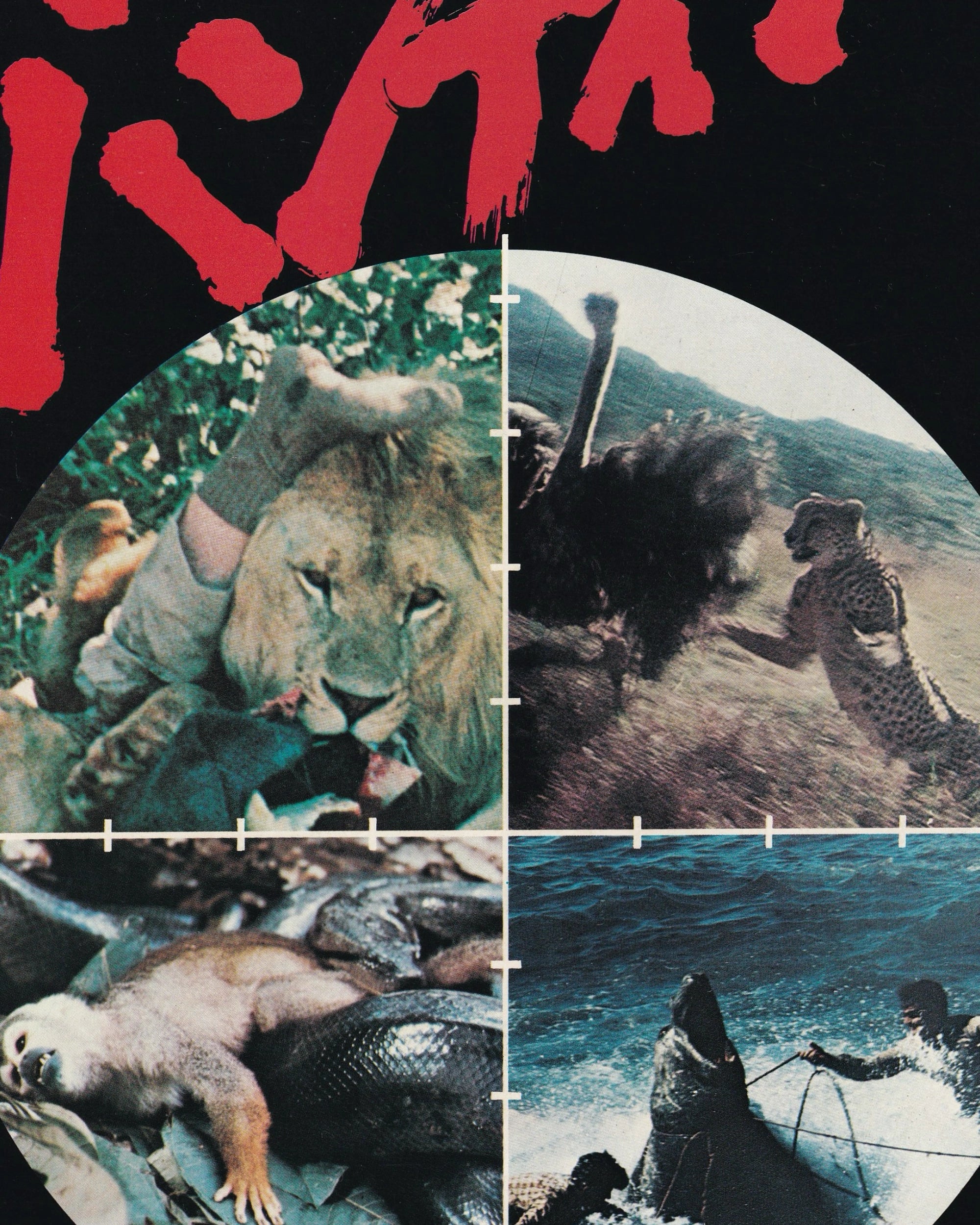 Ultime grida dalla Savana Cinema Booklet - Jpn Cinema Booklets Props!