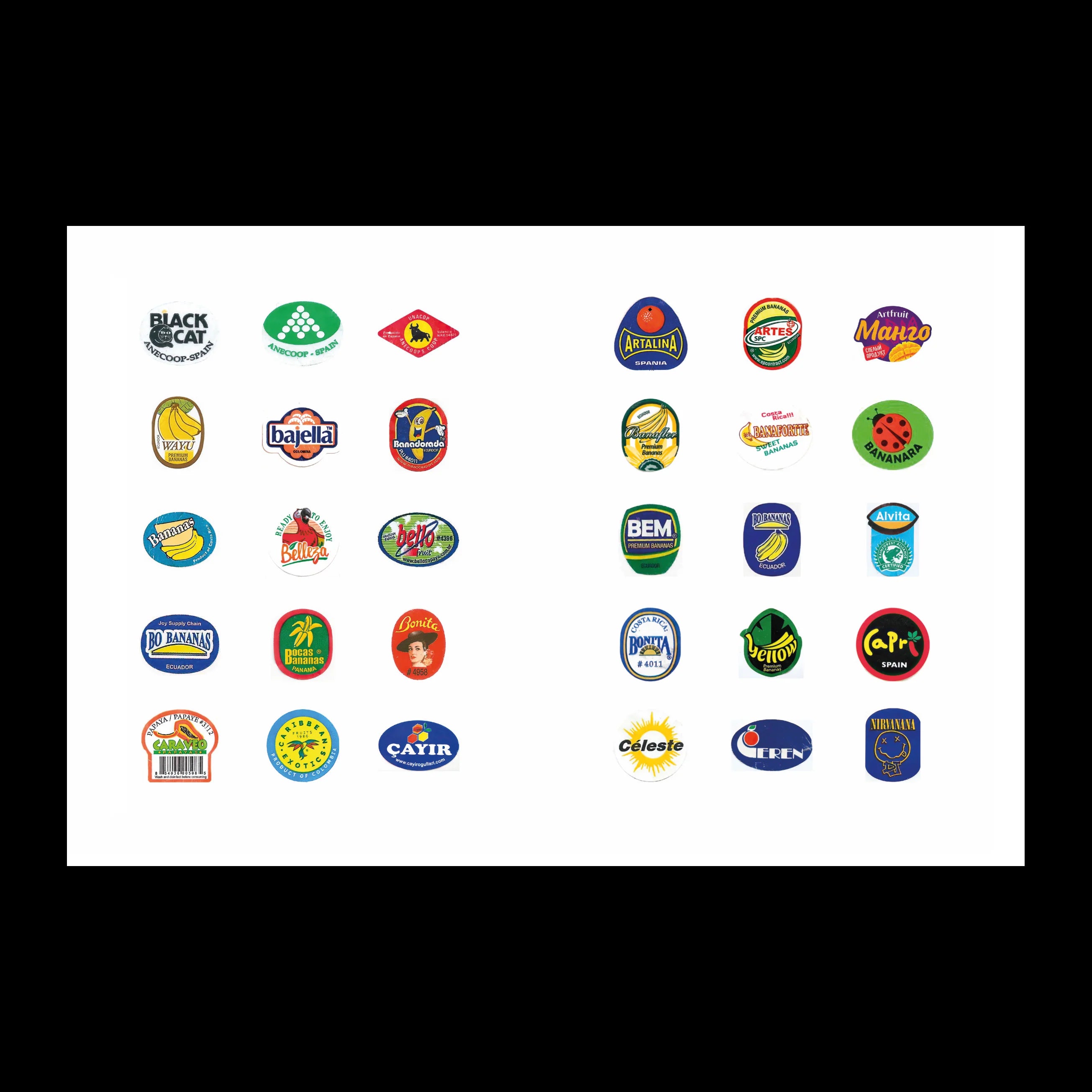 FRUIT STICKERS - Masala Noir Art Masala Noir